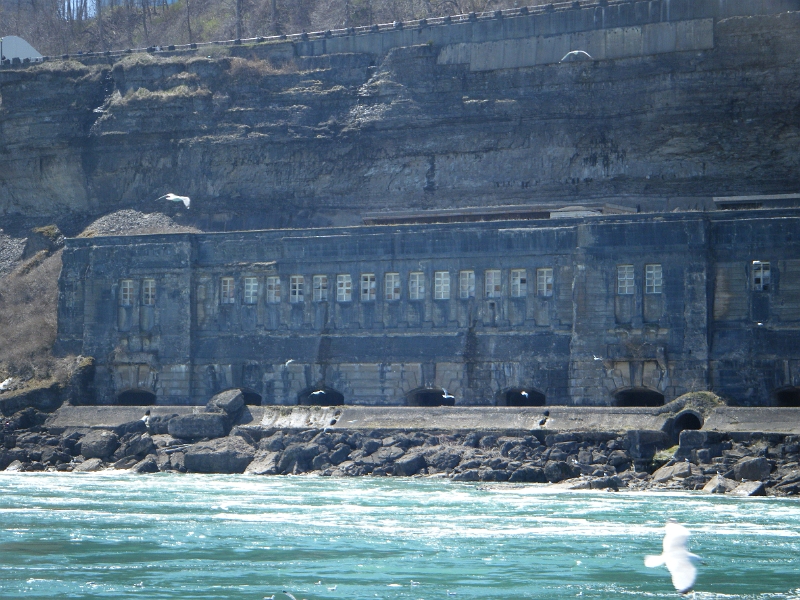 chrisniaraga 260.jpg